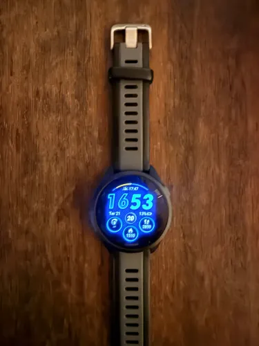 Garmin 165 forerunner