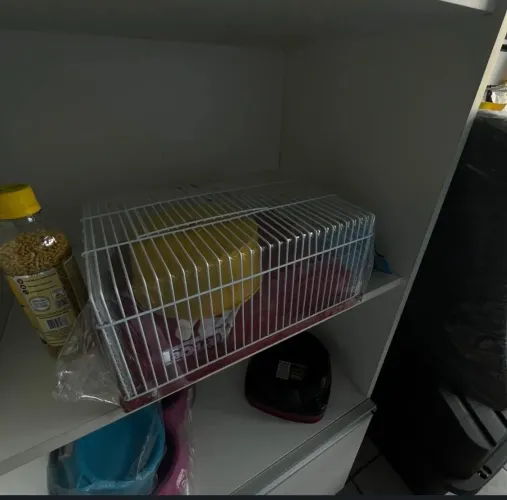 Acessórios pet