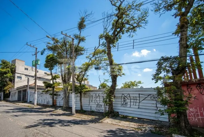 TERRENO VENDA E LOCAÇÃO COM 1.250 m² - VILA EMA