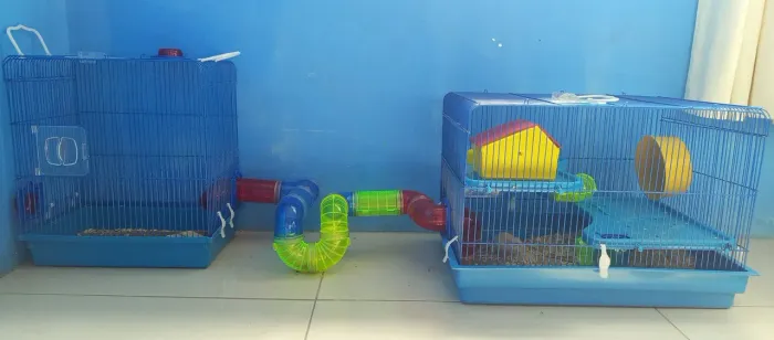 Conjunto duas gaiolas para hamster