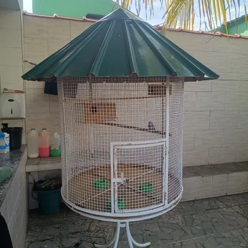Viveiro grande para psitacídeos e passeriformes 