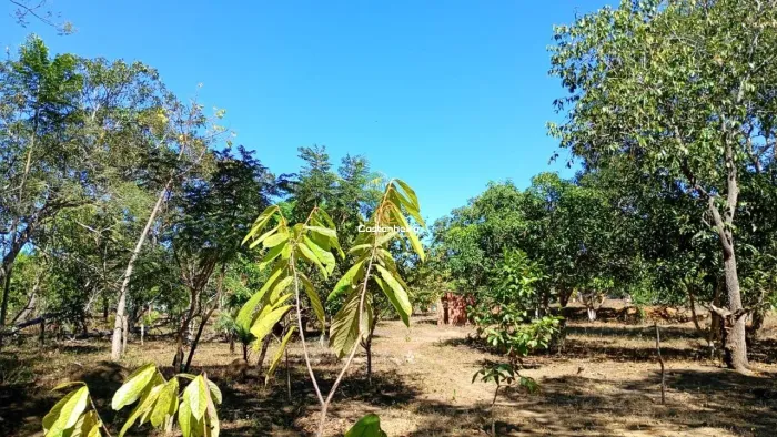 Chácara | Sítio - Curso D'água Perene - 6,25 hectares - Serra do Lajeado