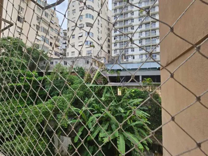 Apartamento : / Residencial / Glória
