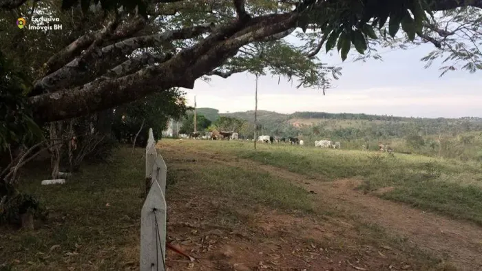 Fazenda à Venda em Abaeté - MG. 652 ha - Zona Rural.