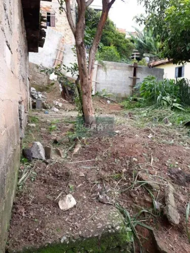 lote novo progresso