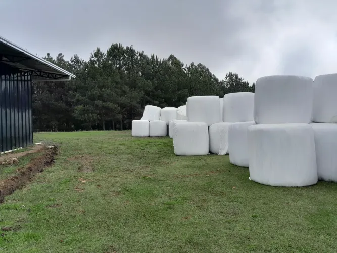 Bola Pré secado p/ Alimentacão Animais 