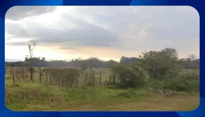 GLEBA DE TERRAS - Denominada Gleba Buritizal 6, Canto do Buriti/PI, Área de 3.000 hectares
