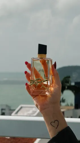 Libre EDP