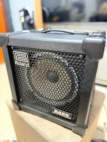 Roland Cube Bass