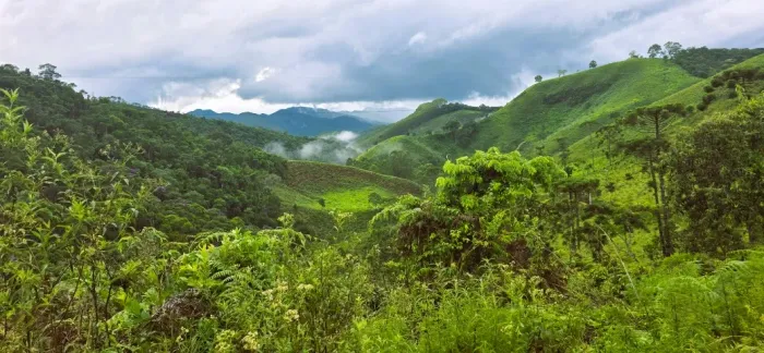 Sítio à Venda na Serra da Mantiqueira (MG): Terra Fértil para Café Especial e Oliveira