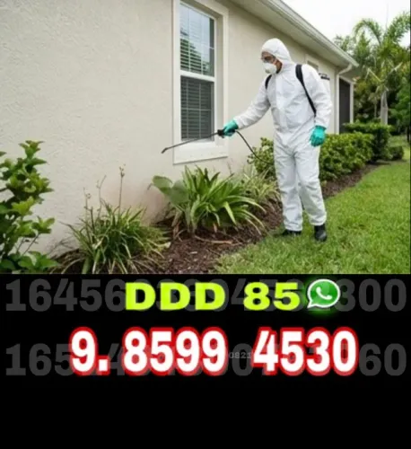 Detetização Residencial com Atendimento Rápido e Seguro
