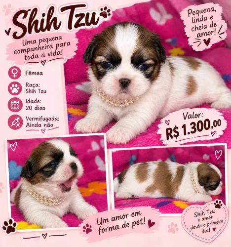 Vendo Shitsu