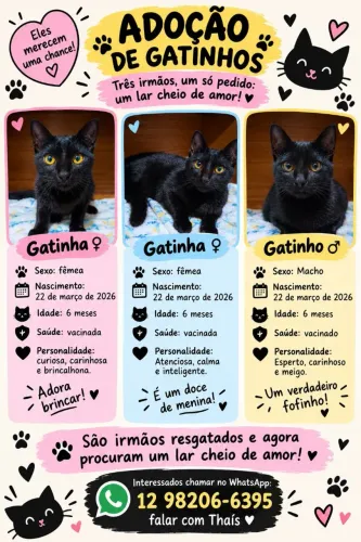 Doação responsável