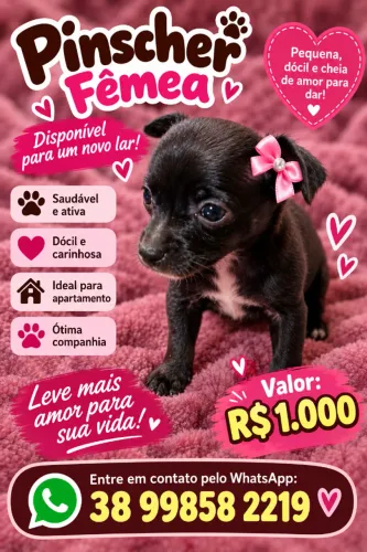Lindos Pinscher