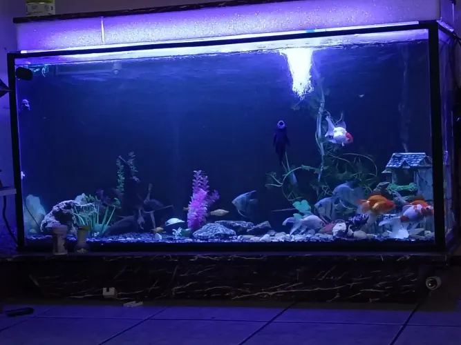 Aquário 1m30 