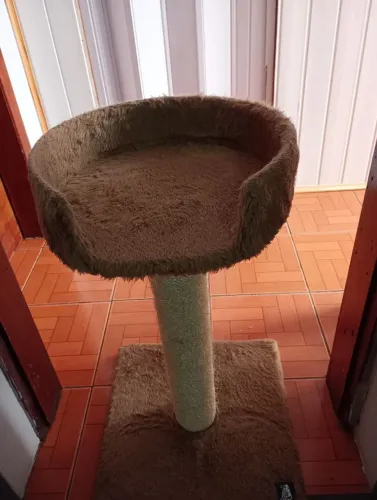 Arranhador