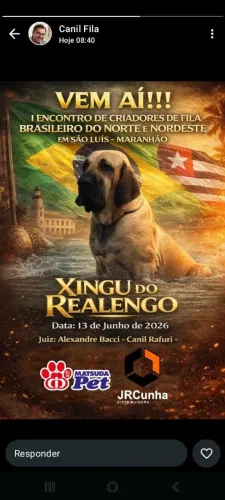 Vendas de filhote de fila brasileiro