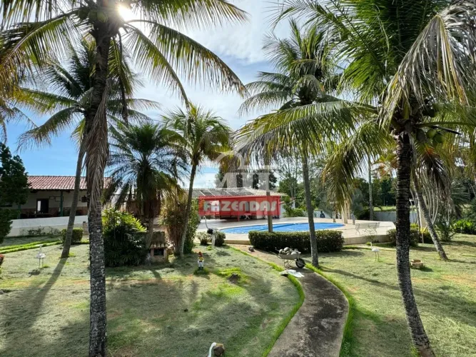 Fazenda / Haras de 59 Alqueires (286 hectares) em Jaraguá GO