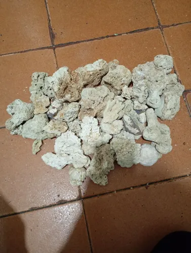 Rocha viva natural para aquário marinho,4.5kg