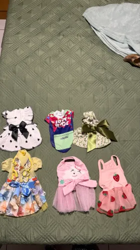 Roupas CÃES Chiuhauha ou Pincher filhote
