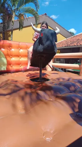 Touro Mecânico
