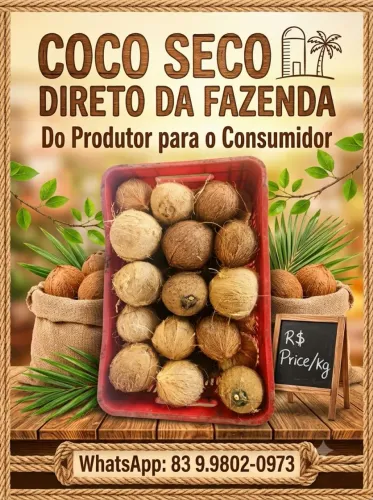 Coco Seco Direto da Fazenda - Fresco e Selecionado (Atacado e Varejo)<br>