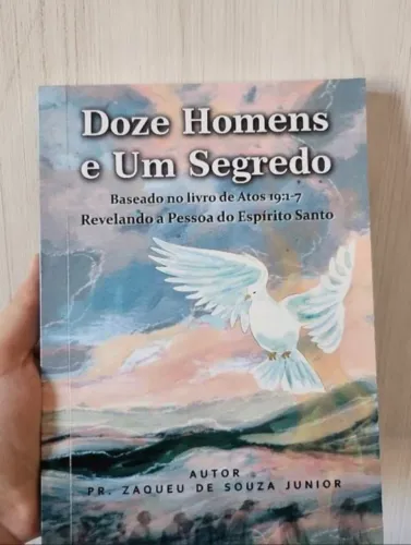 Livro: doze homens e um segredo 