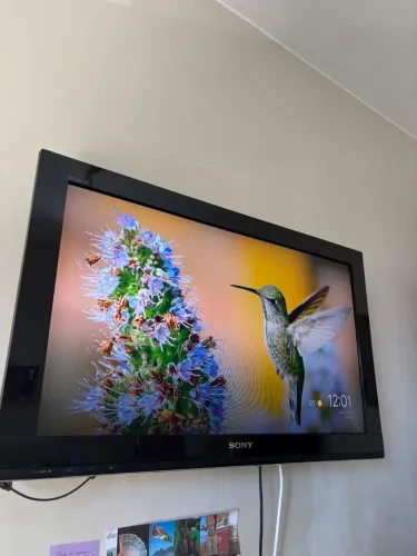 Tv Sony Bravia 32 polegadas e chromecast .