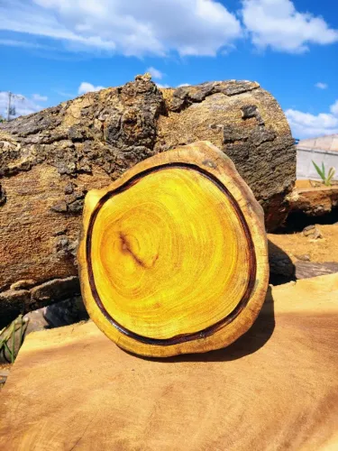 Tábua de corte em madeira nobre