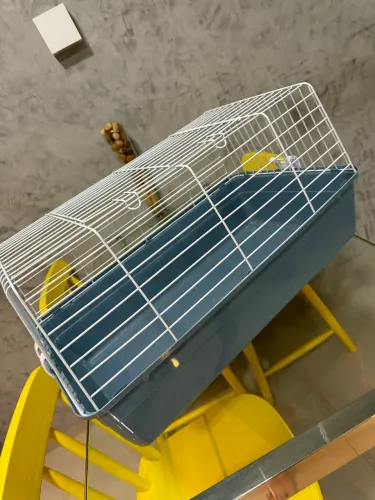 Gaiola para porquinho da Índia / hamster