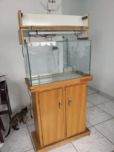 ? Aquário 100 litros com móvel, termostato e bomba