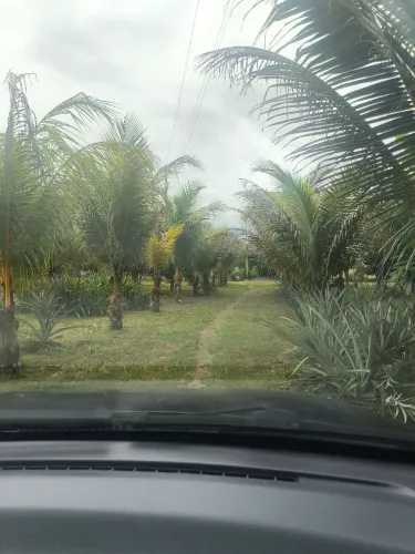 Sítio a venda ? outra por casa em Manaus Am