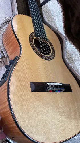 Viola Luthier Dida
