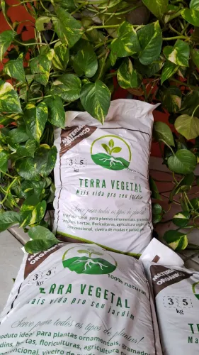 Adubo vegetal 