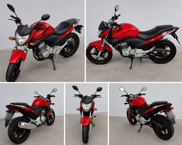 Honda CB 300r/ 300r Flex 2010