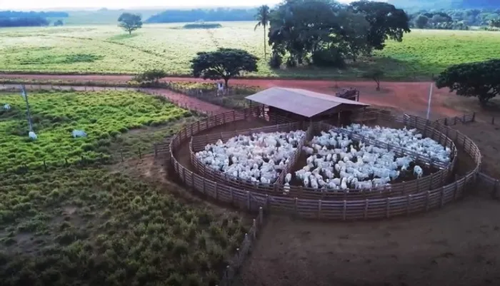 Fazenda de 4.095 Alqueires em Barra do Ouro -TO