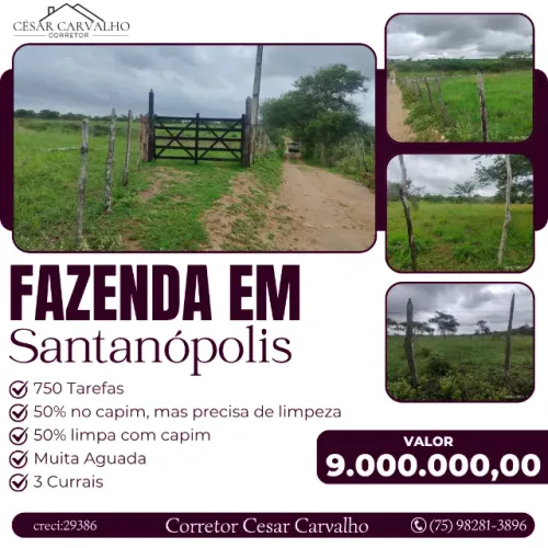 FAZENDA EM SANTANÓPOLIS - 750 TAREFAS