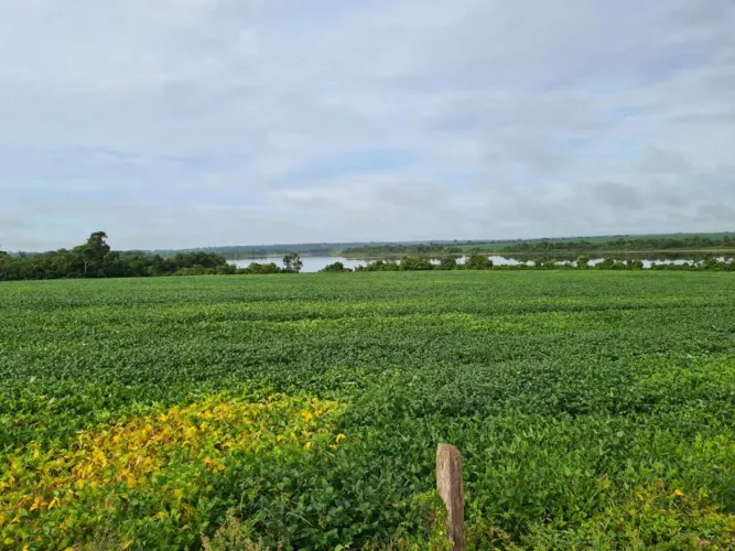 Vendo fazenda 17.125hec em Araguaína TO pega 100% ouro e diamantes R$1.2 BI.