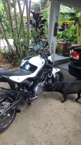 Suzuki Gladius 650 V , troco carro /moto /camionete 