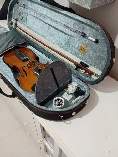 Violino dominante 4/4 estojo de luxo