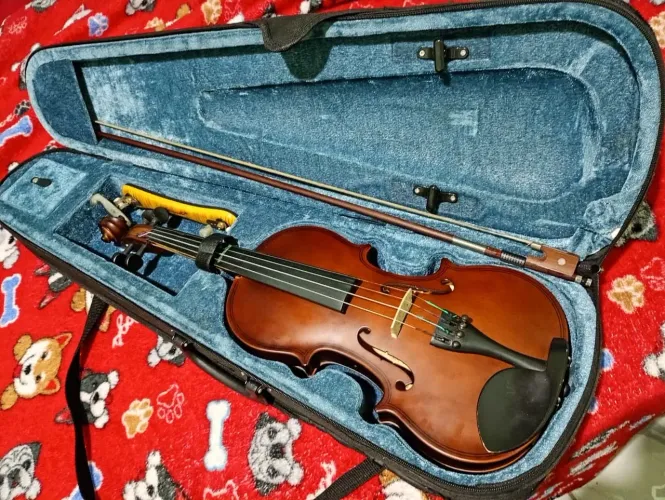 Violino