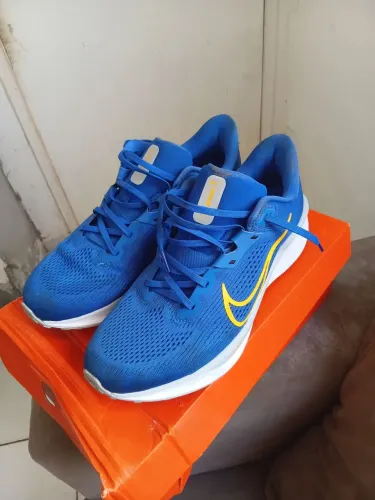 Tênis Nike quest 6