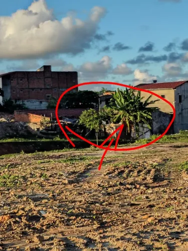 Aluga-se terreno