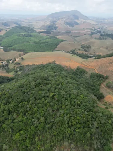 OPORTUNIDADE PARA REPOSIÇÃO FLORESTAL ANCHIETA/ES