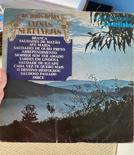 Vinil coleção 1