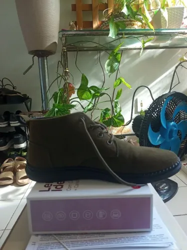 Bota