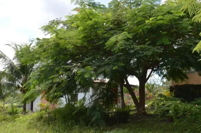 Granja no Conde com 4 hectares