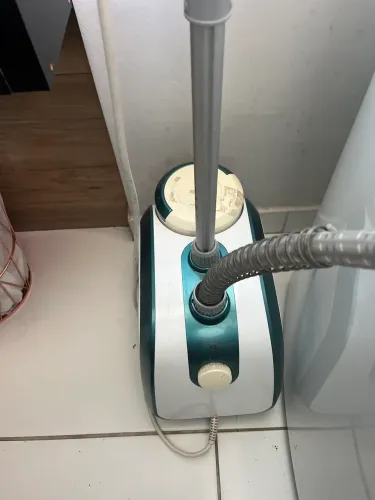 Passadeira a vapor eletrolux