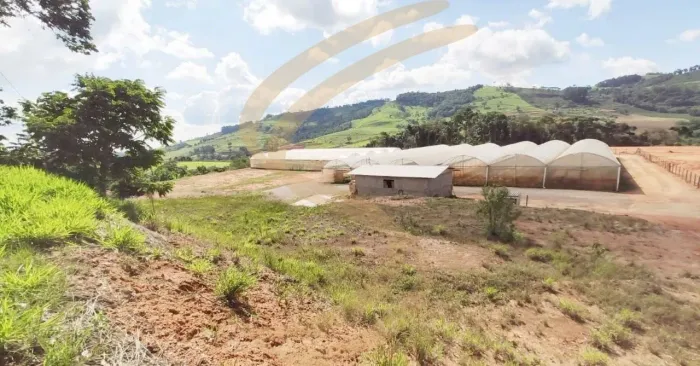 A oportunidade que você esperava para investir no agronegócio de Divinolândia !