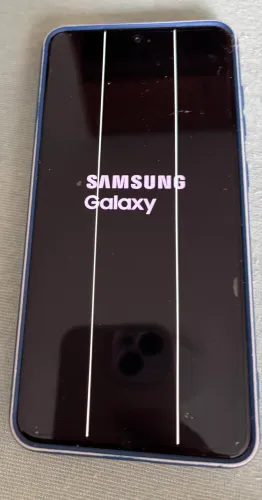 Samsung S21 FÉ